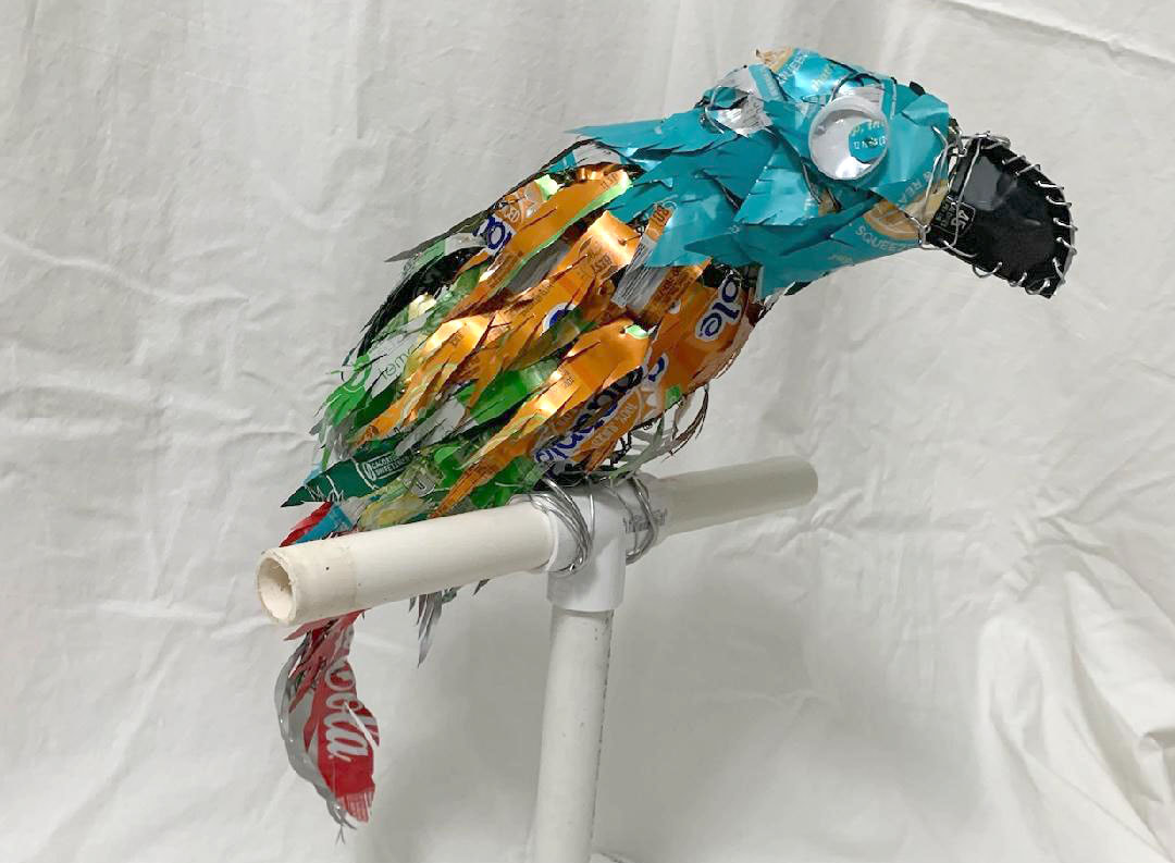 Recycle our River art project: People encouraged to turn litter into ...